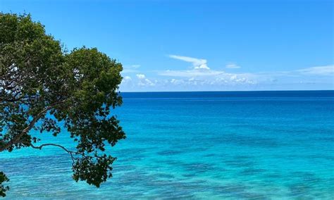 A Guide To The Weather And Climate Of Barbados Terra Caribbean