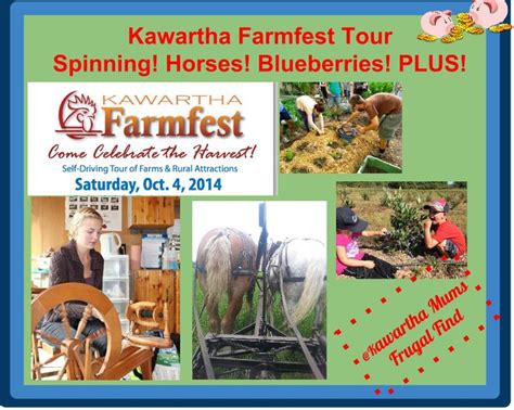 Curious About Kawartha Lakes Farming Visit Kawartha Farm Fest Oct 4
