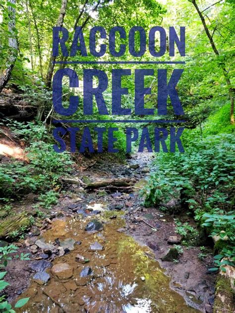 Raccoon state recreation area and lake (beach, trails, boat rental) Raccoon Creek State Park | State parks, Day trips, Park