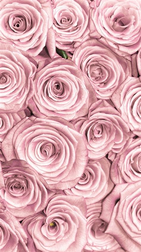 Roses Diamonds Flowers Gold Pattern Pink Rose Hd Phone Wallpaper