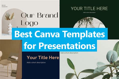 70 Best Canva Templates Every Brand Needs Free And Paid