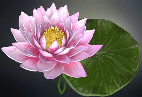 Lotus Flower High Poly 3D Model In Flowers 3DExport