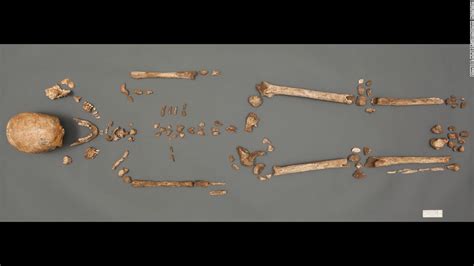Skeletons Of Early Elite Settlers Found At Jamestown