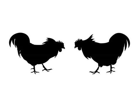 Silhouette Fighting Rooster Svg Free 212 Svg File For Cricut