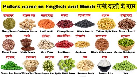 pulses names in english and hindi with pictures सभी दालों के नाम dalo ke naam youtube