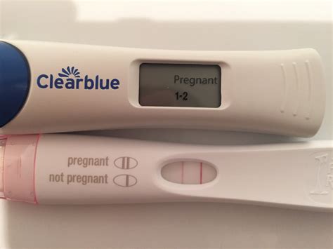 What Does A Positive Pregnancy Test Really Look Like Page 12 — The Bump