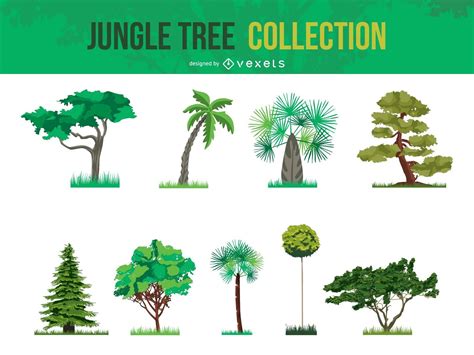 Vector Jungle Tree Collection Vector Download