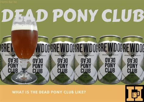 What Is The Dead Pony Club Like Home Bar Kit