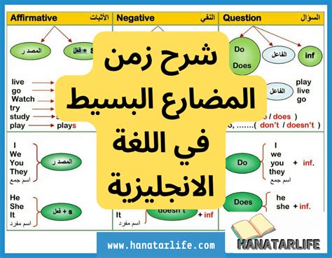 تقرير عن المضارع البسيط بالانجليزي