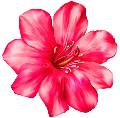 ® Gifs y Fondos Paz enla Tormenta ®: IMÁGENES DE FLORES VARIADAS GIGANTES | Pink flowers ...