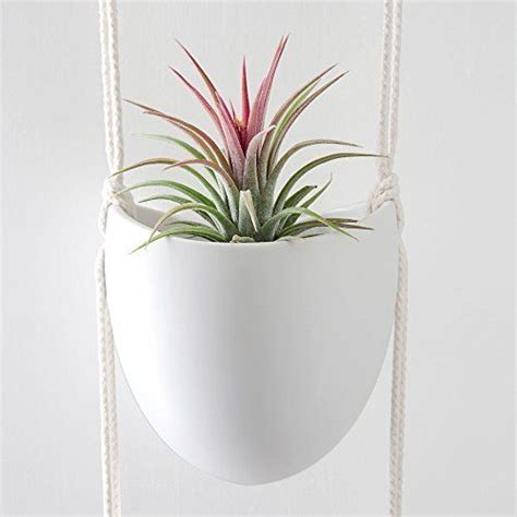 This post and photos may contain amazon or other affiliate links. Mkono-Ceramic-Hanging-Planter-3-Tier-Indoor-Wall-Plant ...