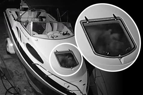 Sex Boat Thieves Raid Yacht Then Put On Steamy Show For