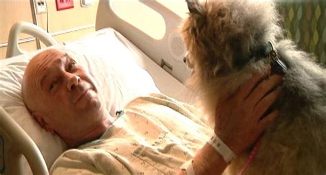 Touching Hospital Reunion Tornado Survivor Greets Dogs He Thought Hed