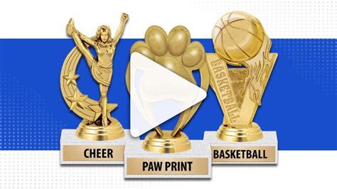 Participation Trophies For Every Sport And Activity Youtube