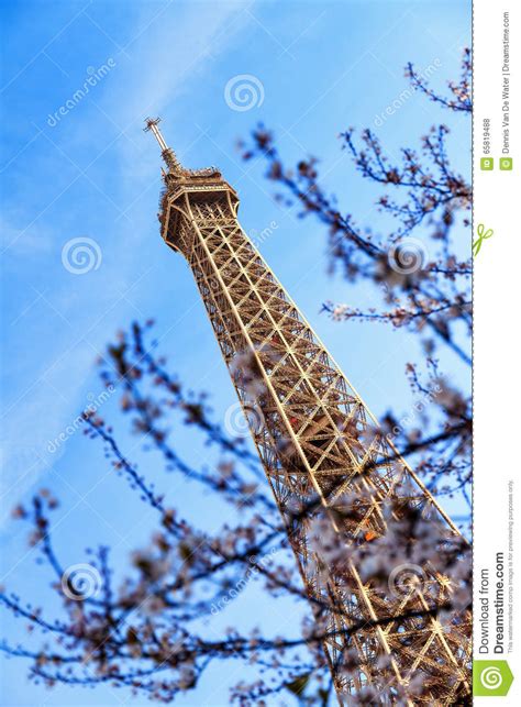 Paris Eiffel Blossom Tree Stock Photo Image Of Blue 65819488