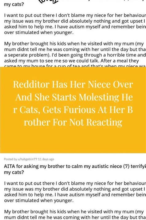 Redditor Has Her Niece Over And She Starts Molesting Her Cats Gets