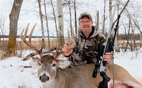 Understanding The Whitetail Rut North American Bow Hunter
