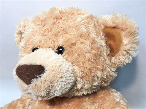 Gund Maxie Teddy Bear Plush Brown Rare 24 Xlarge Tan Stuffed Animal