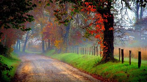 Country Road Beauty Country Roads Autumn Scenery Landscape