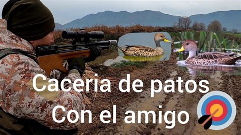 Caceria De Patos Silvestres🦆🦆🦆 Con Rifles Pcp Youtube