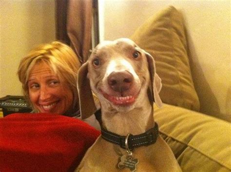 Funny Animals: 20 Animals making funny faces | Amazing ...