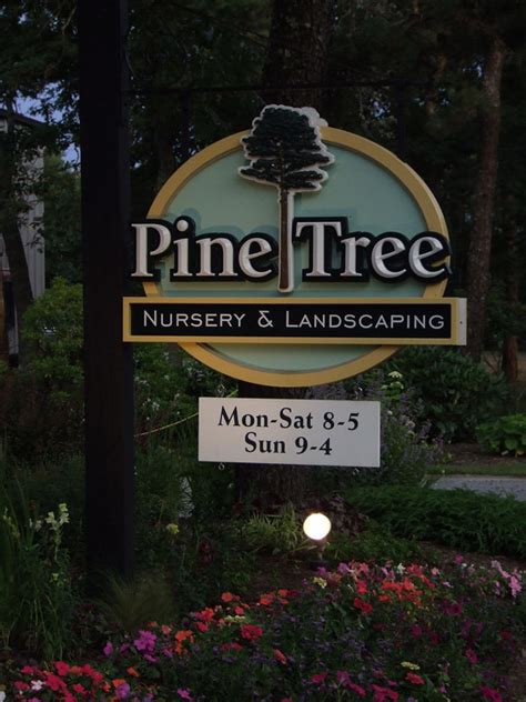 Photos Pine Tree Nursery And Landscaping