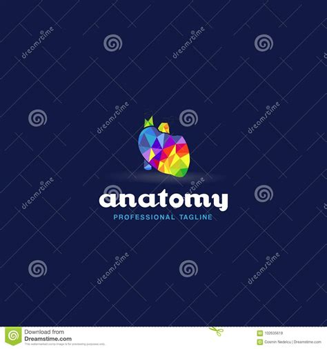 Anatomy Logo Cartoon Vector 102635619