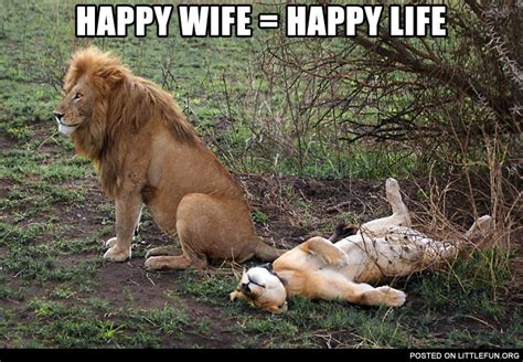 Littlefun Happy Wife Happy Life