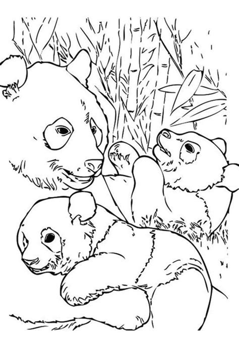 Free Easy To Print Panda Coloring Pages Tulamama