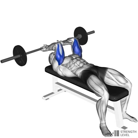 Lying Tricep Extension How To Strength Level