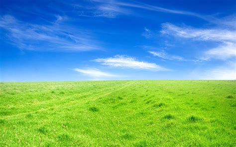 Green Field Beneath A Blue Sky Beautiful Backgrounds Field Wallpaper