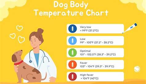 Dog Temperature Chart: Simple Fever Guide | PawLeaks