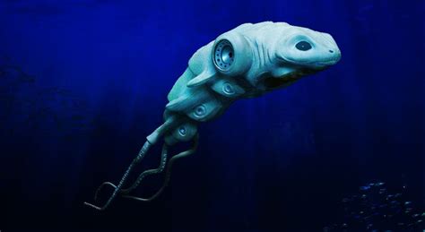 148 list of words with deep meaning. Deep Ocean Life | strange and wierd - deep sea life Photo ...