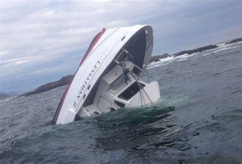 Whale Watching Boat With 27 On Board Sinks Off Canadian Coast