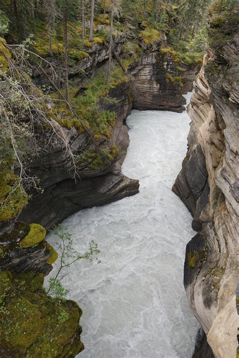 The Tumultuous Gorge Below The Falls Athabasca Falls Jasper