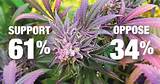 New Mexico Marijuana Legalization Pictures