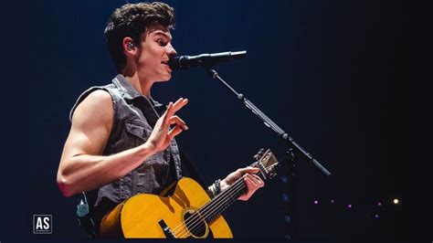 Shawn Mendes Music Instruments Guitar Tours Musical Instruments