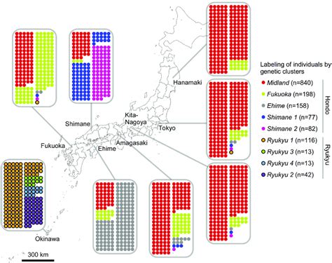 Geographic Distribution Of The Japanese Genetic Clusters Each Download Scientific Diagram