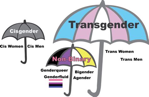 A Guide To Understanding Theythem Pronouns And Nonbinary Identity