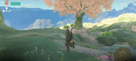 Zelda Tears Of The Kingdom Cherry Blossom Tree Locations
