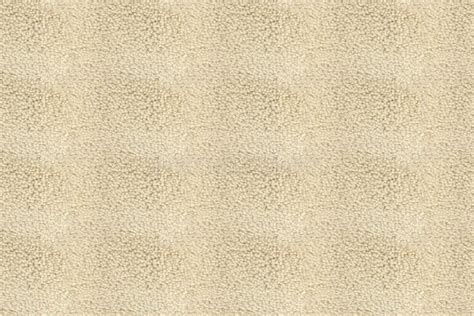 Beige Carpet Texture