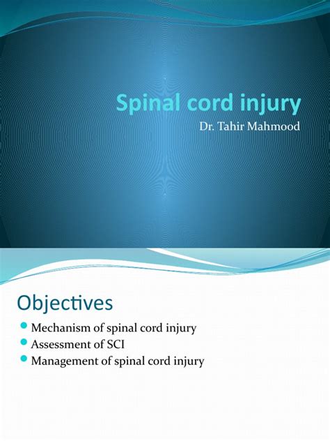 Spinal Cord Injury 6 Pdf Spinal Cord Injury Musculoskeletal