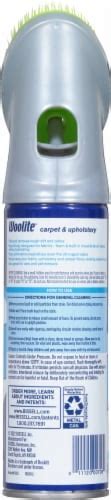 Woolite Carpet And Upholstery Cleaner With Fabric Safe Brush 12 Fl Oz