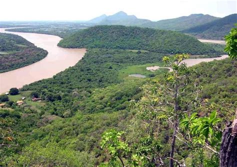 RÍo Congo Ubicación Ciudad Afluentes Y Todo Lo Que Necesitas Saber