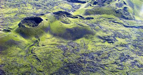 Exciting 1 Hour Helicopter Tour Of Laki Craters And Surroundings