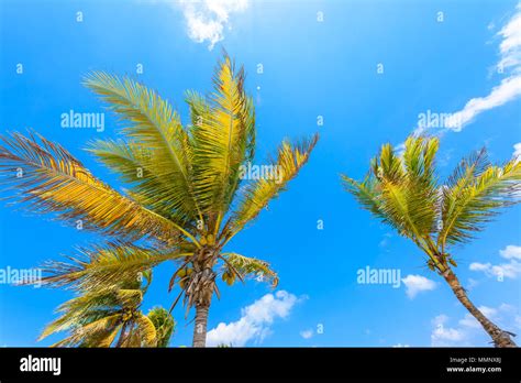 Playa Del Carmen Paradise Beach And City At Caribbean Coast Of Quintana Roo Mexico Stock