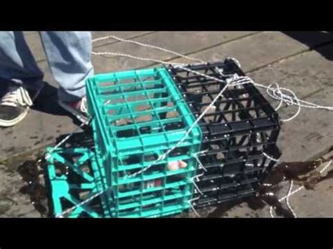 Crab traps for blue crabs or ring nets?? Home Made Crab Trap - YouTube