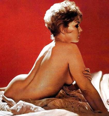 Hot Pictures Of Kim Novak Which Are Absolutely Mouth Watering My XXX Hot Girl