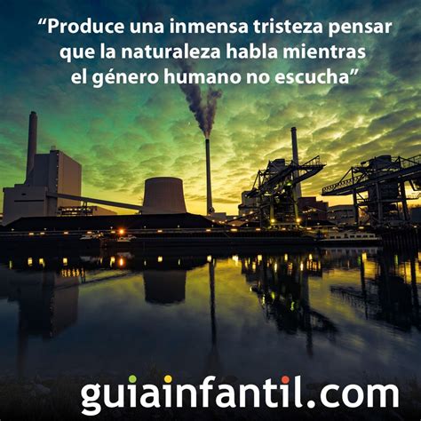 Frases De Importancia Frases De Motivao