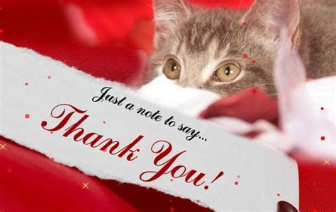 Just A Note To Say Thank You Greeting Free For Everyone Ecards 123